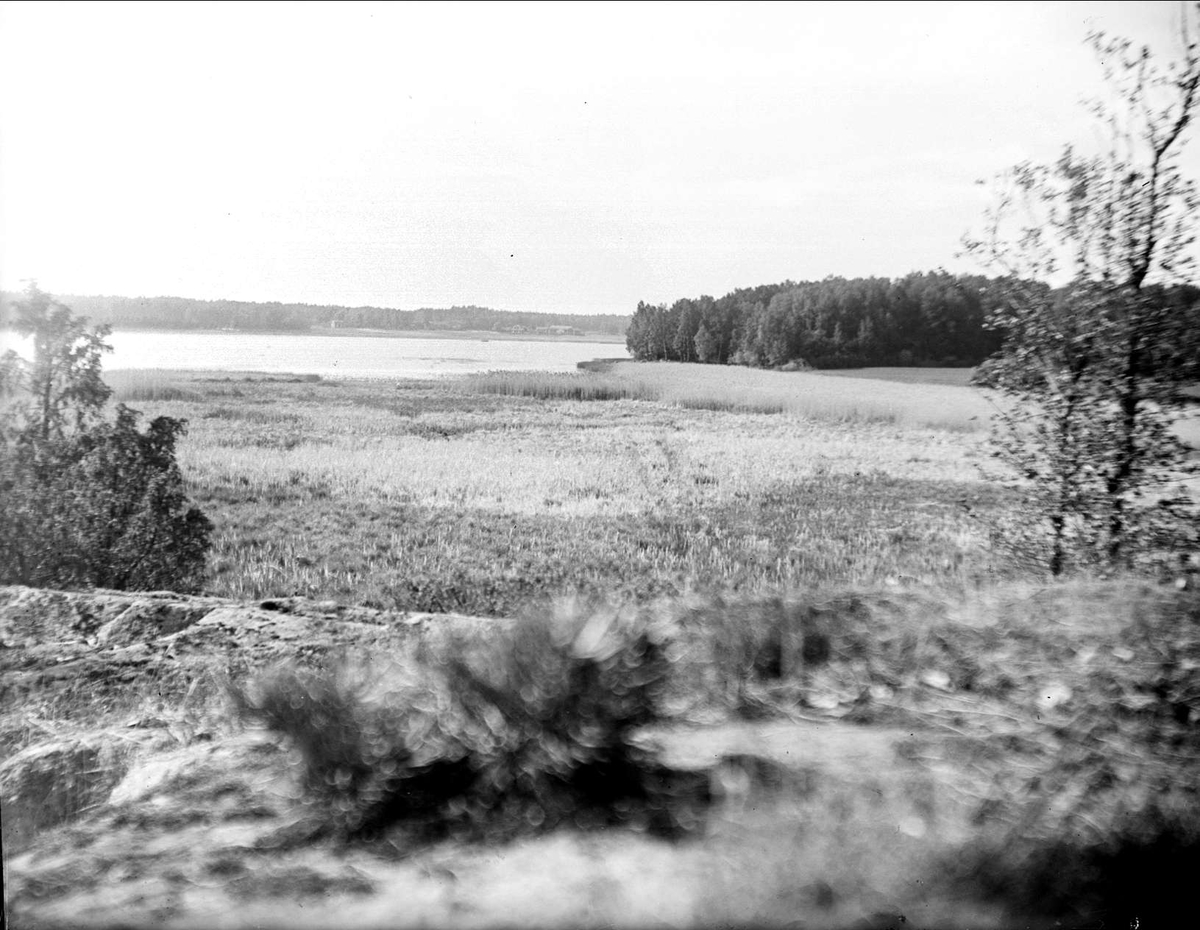 Sjön Fladen vid Uddnäs, Almunge socken, Uppland juni 1933