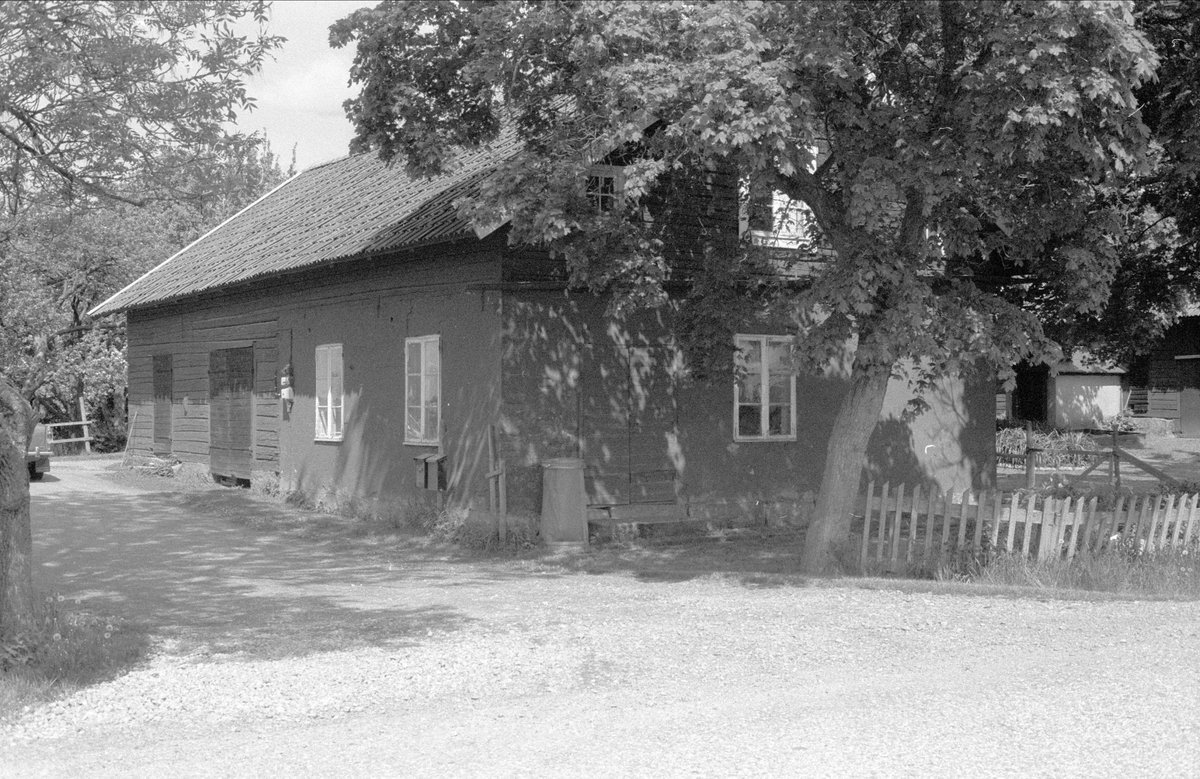 Brygghus, Skörkulla, Bälinge socken, Uppland 1983