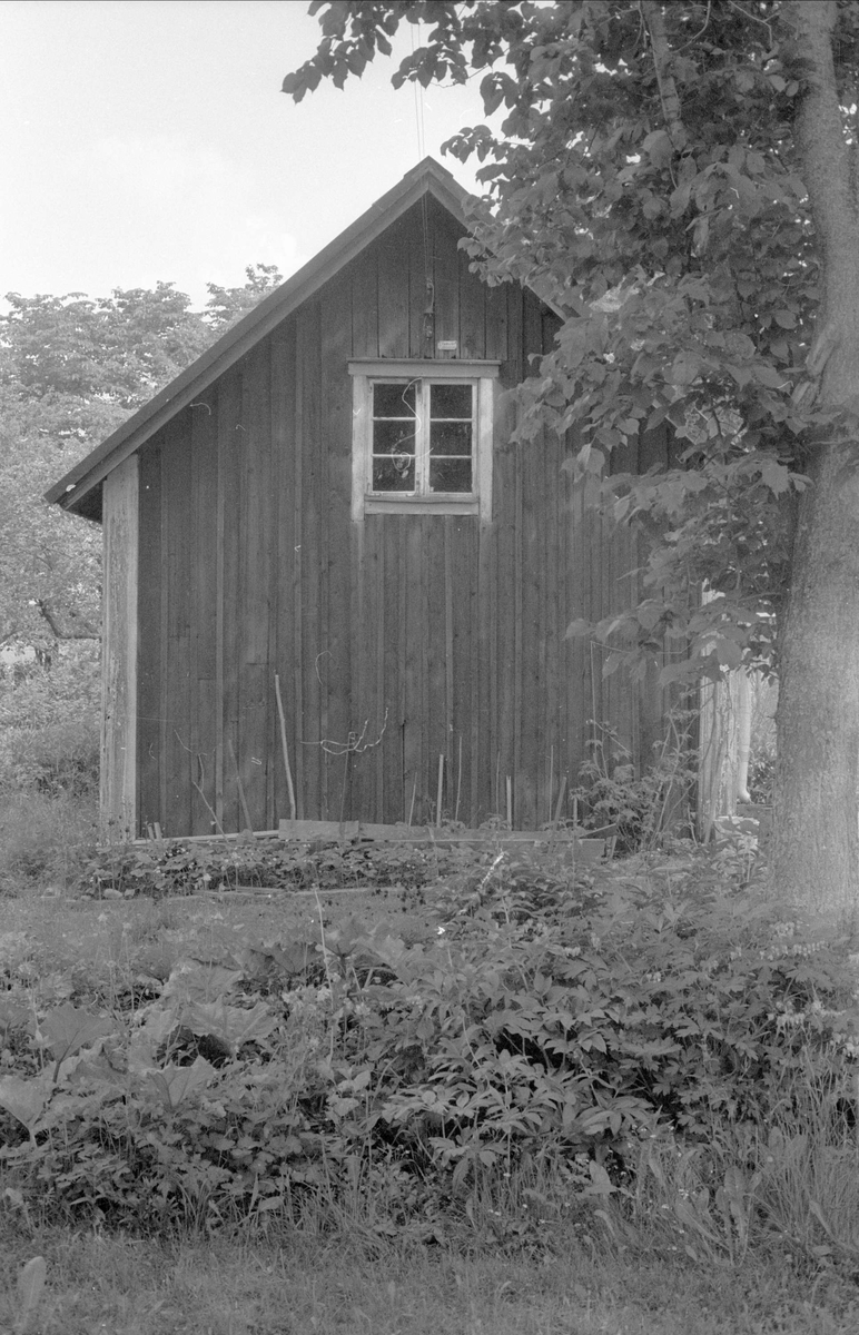 Bostadshus, Losgärde 2:1, Bälinge socken, Uppland 1976