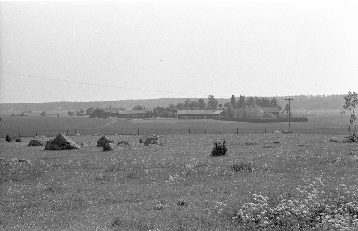 Vy mot norr från Edeby 10:1, Edeby, Danmarks socken, Uppland 1977