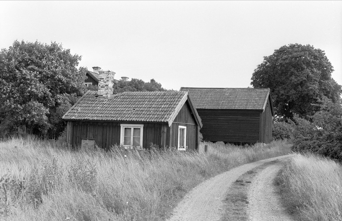 Brygghus och bod, Lejsta 6:35, Rasbo socken, Uppland 1982