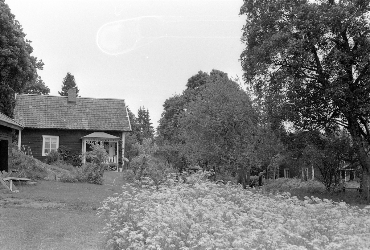 Bostadshus, Vreta, Burvik, Knutby socken, Uppland 1987