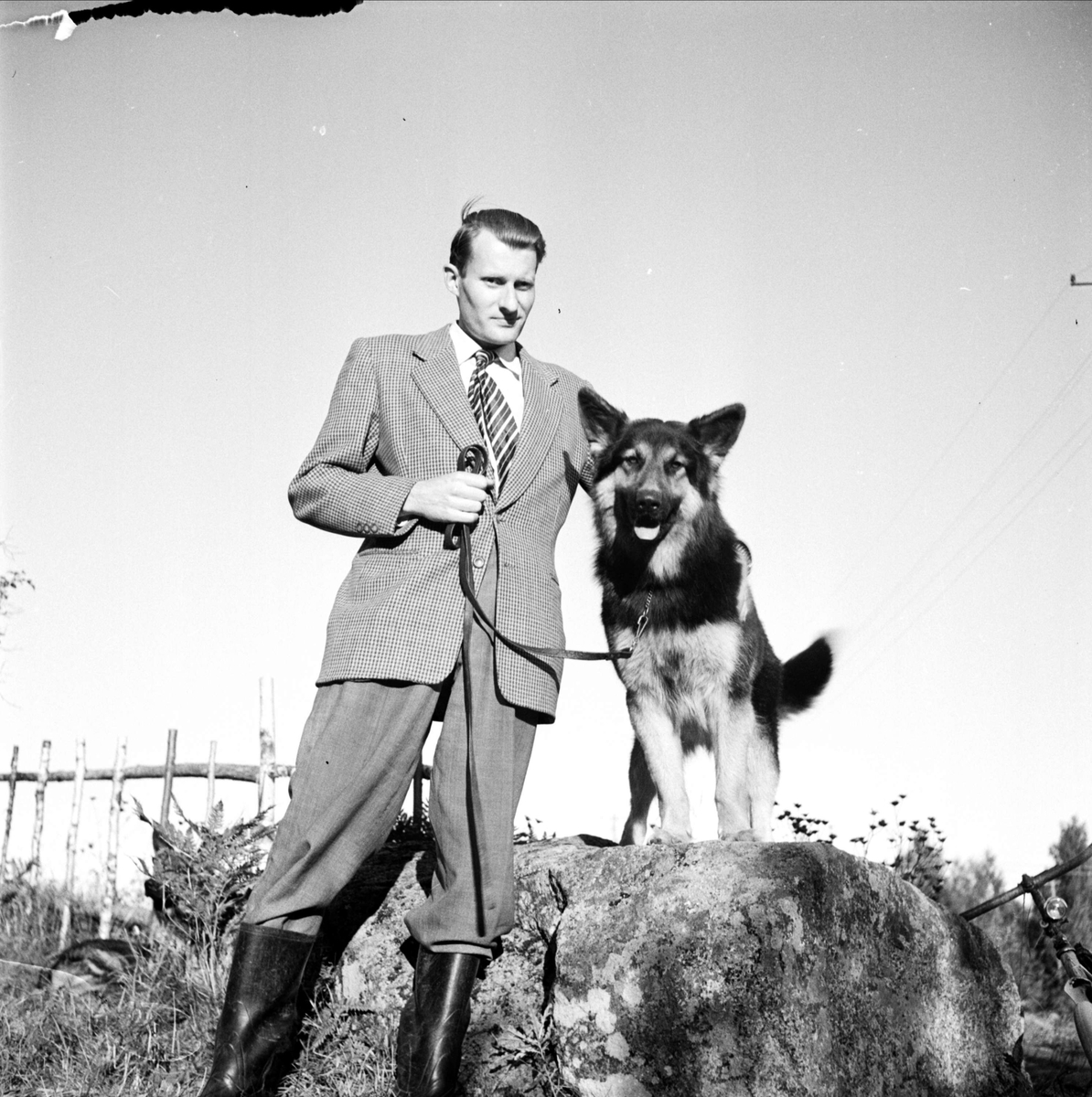 Uppsala Brukshundklubb, Uppsala maj 1953