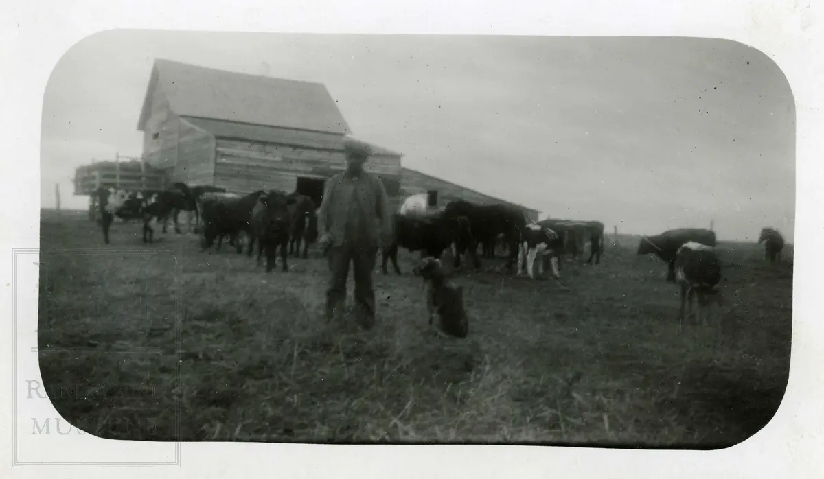 Jordbruk i USA. Stofe foran låve. Mann og hund i forkant. 