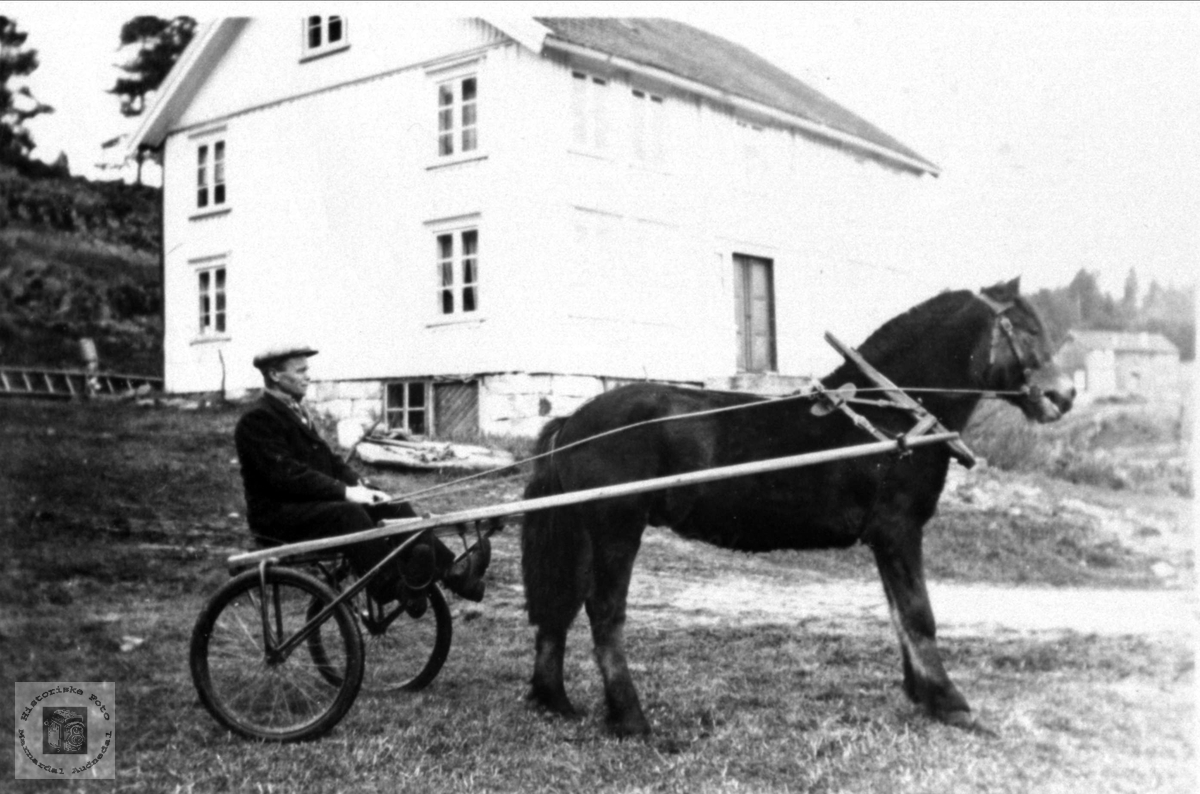 Mann på sulky med hest på Røynesdal, Bjelland.