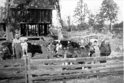 Haraldstad familien med buskapen i USA