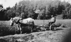 Slåttonn Fladeli Øyslebø.