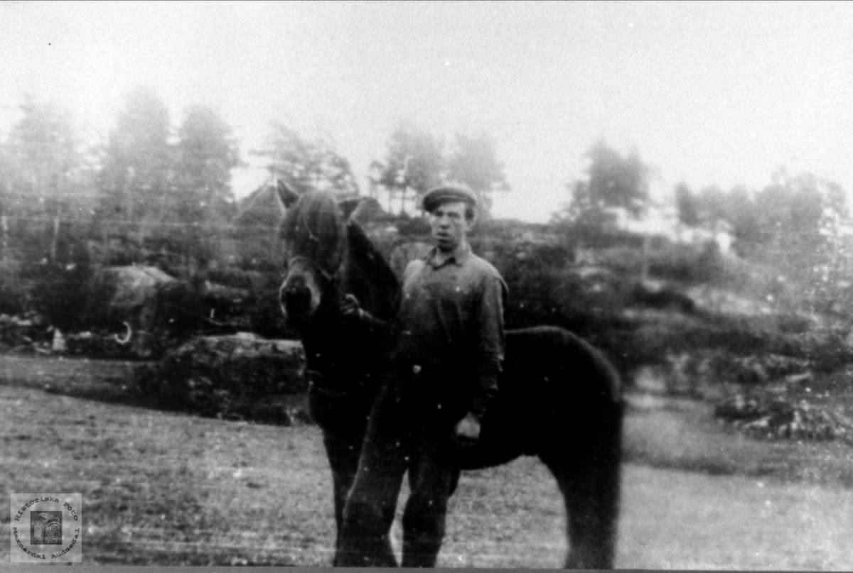 Svend Falk og hesten, Øyslebø.