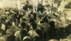 Fårehoder fra Aden.