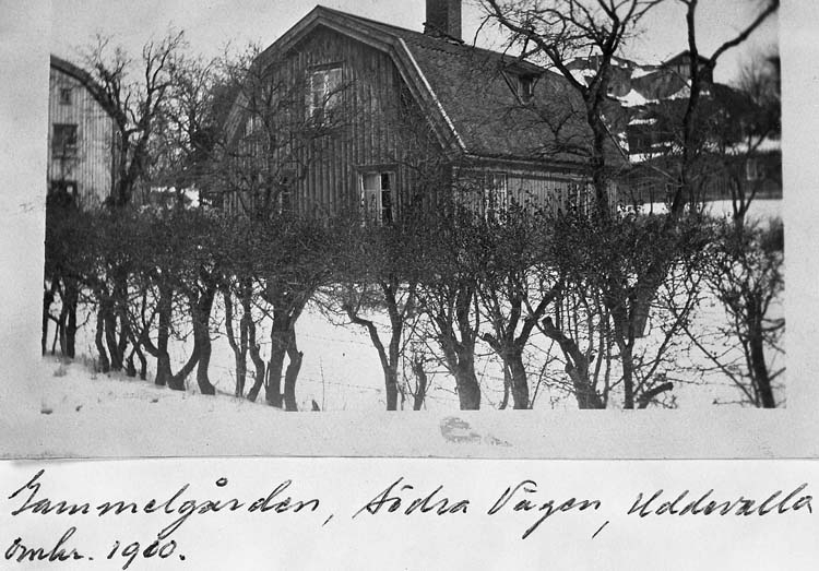 Text på kortet: "Gammelgården, Södra Vägen, Uddevalla, omkr. 1900".