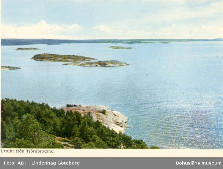 Tryckt text på kortet: "Utsikt från Tjörnbroarna."