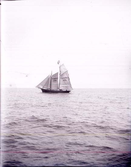 Enligt text som medföljde bilden: "Holländsk lotsbåt".