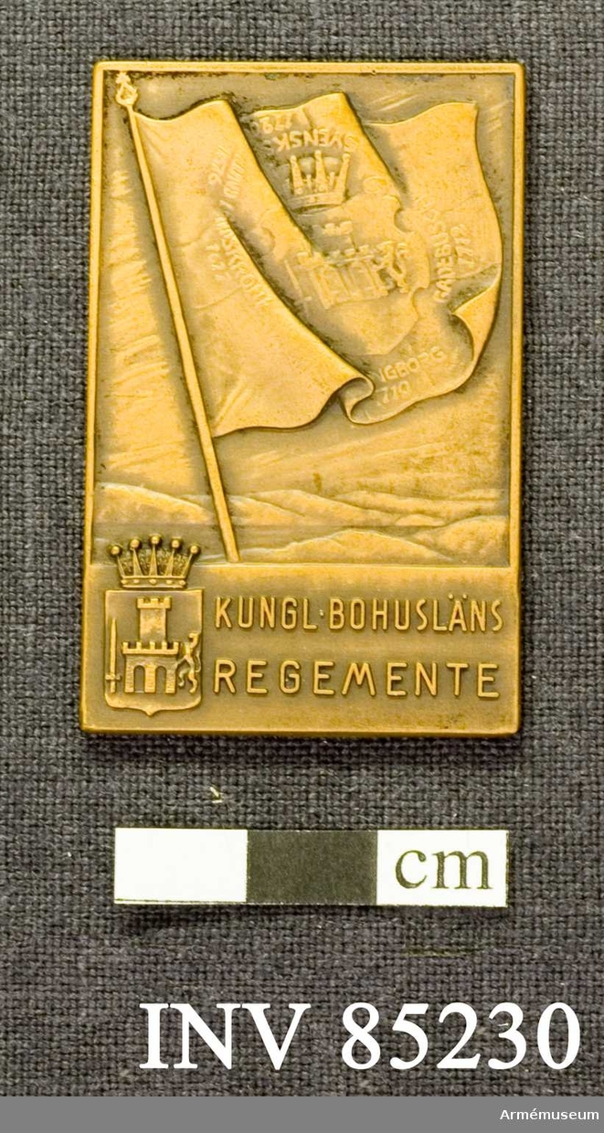 Grupp: M II. 
Kungliga Bohusläns regementes lilla förtjänstplakett i brons.
