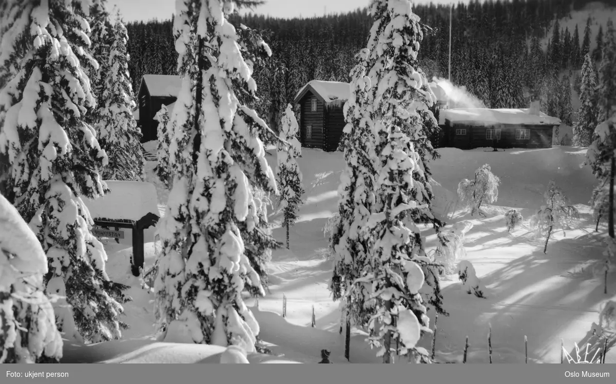skog, snø, Tryvannstua