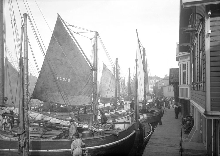 Juni 1924 Ort: Smögen, Bohuslän. Objektiv: Meijer Väder: Sol