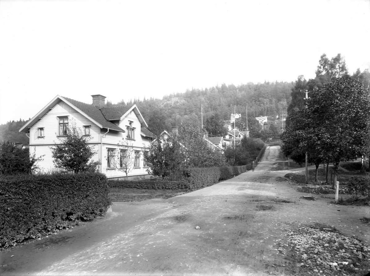 Rosenborgsgatan i Huskvarna år 1910. Tvåvåningsvillor i trä ligger utmed den trädkantade vägen och häckar inramar trädgårdarna.