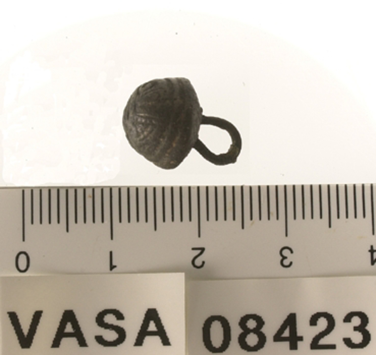 En rundad knapp med halvkonisk undersida och trådögla, samt dekor på huvudet.



Text in English: Two decorated metal buttons.

One is broken, and in an envelope in the magasin. This is a half-sphere shape with a rounded bottom edge.  The decoration is too abraded to be deciphered clearly. The shank has been broken off right at the head, evidence of wire shank still in holes in head.  Shank is in envelope with head.

Full button is located in livet ombord.  It is a half-sphere shape with a slightly convex bottom.  The decoration is too worn to decipher clearly, but it appears asymmetrical, with no centering motif on top.  The wire shank is cast in.