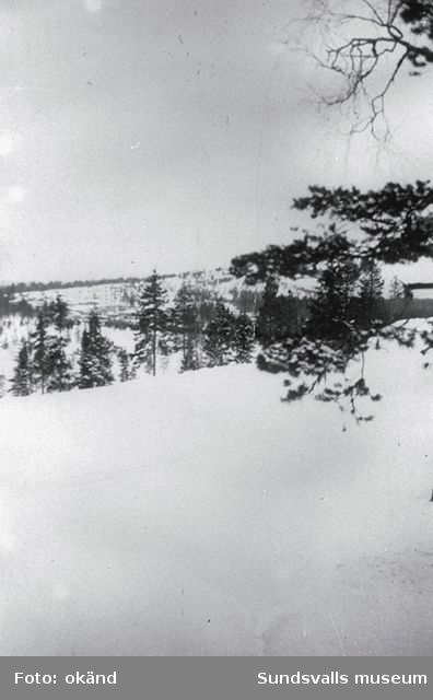 "Hökberget." (Bildtext i fotoalbum. Ägare Emil Tessem, Steinkjer.)Vintern 1945.