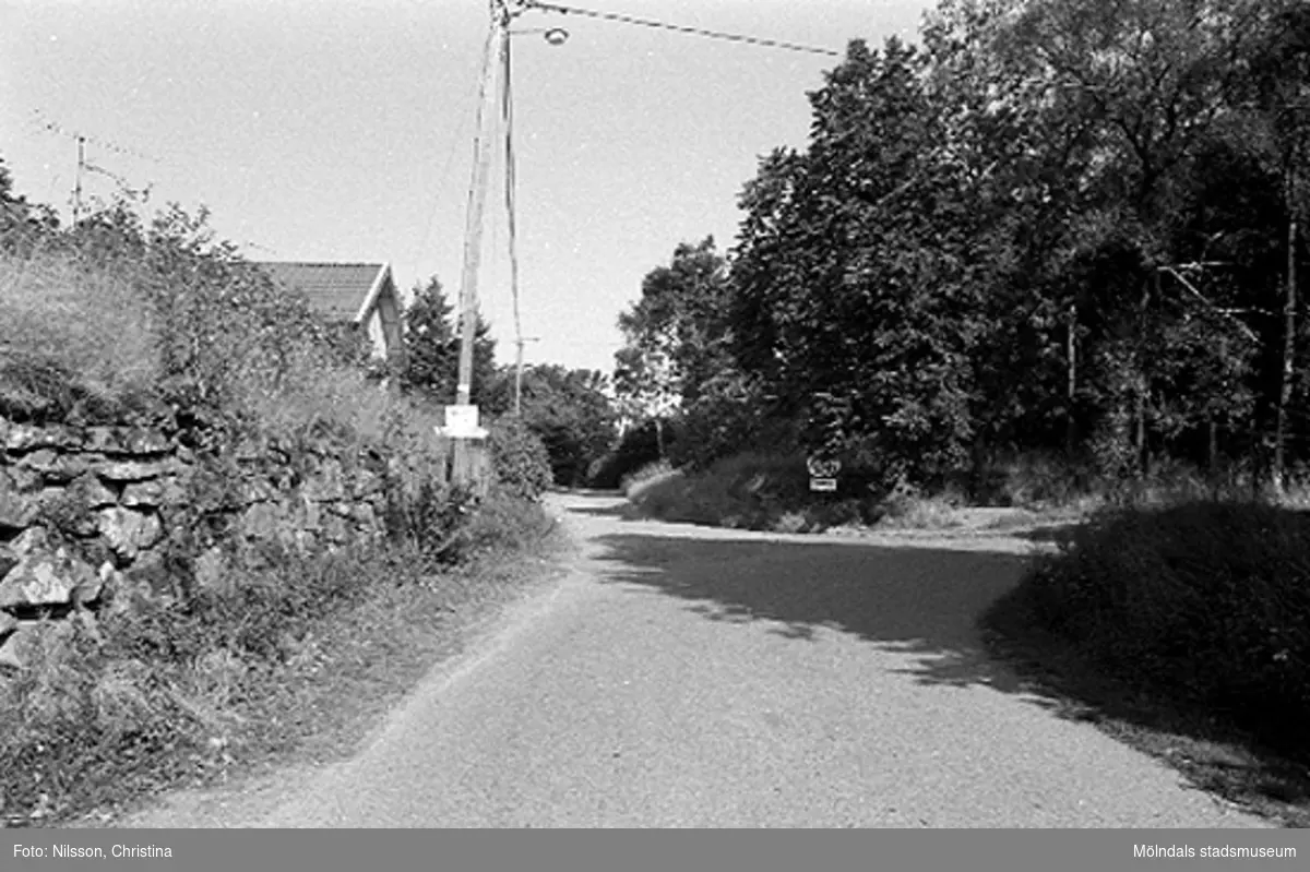 En väg i omgivningen runt Werners fabriker, Annestorp, Lindome hösten 1994.