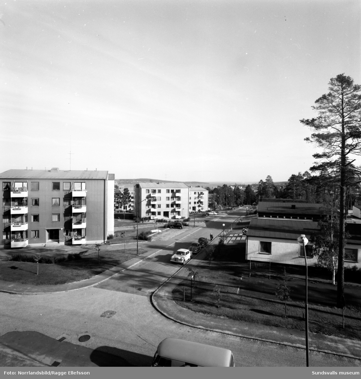 Bostadsområdet i kvarteret Tallkronan vid Tallrotsgatan och Tomtegränd i Haga.