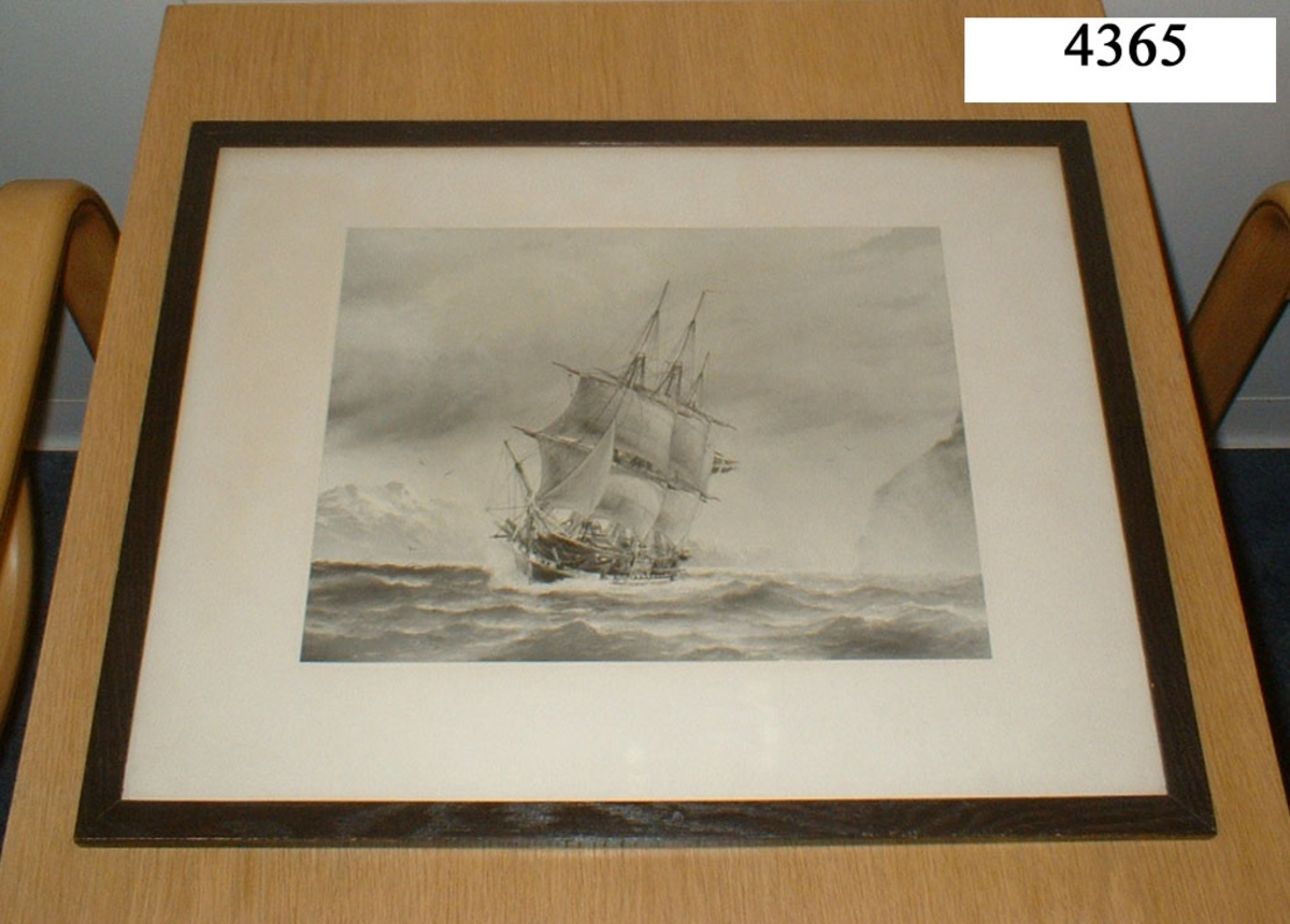 Fotografi av fregatten Eugenie, byggd på Karlskrona Örlogsvarv år 1844.
Inom glas och ram. Ramen av ek, svart. Fotografiet är taget efter akvarell av J. Hägg.