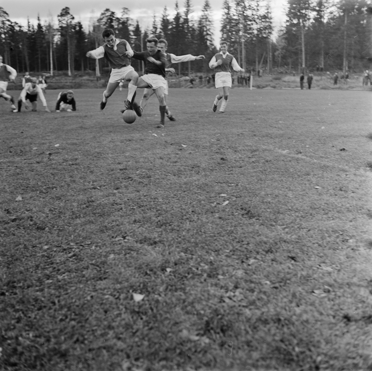 Skoltävlingar i Tierp, Uppland