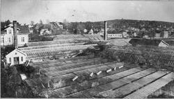 Del av panorama over Chr. Hannestad sitt gartner på Trara. F