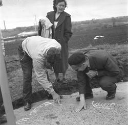 Helleristningene på Sundløkka i Borge ca. 1965. Antakelig er