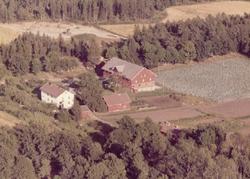 våningshus, uthus, trær, haver, jorder,