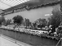 utstilling, Østfoldutstillingen,grønnsaker, Østfold landbruk