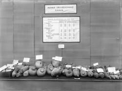 utstilling, Østfoldutstillingen,Østfold småbruksskole, Eidsb