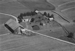 gårdsbruk, skråfoto,