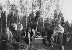 Bilde av arbeid på åker