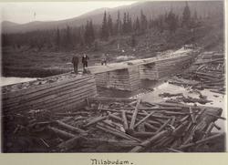 Nilsbudammen, Skjerva, Tinn