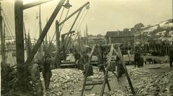 Postkort. Fiskearbeid på kaia. Ukjent sted.