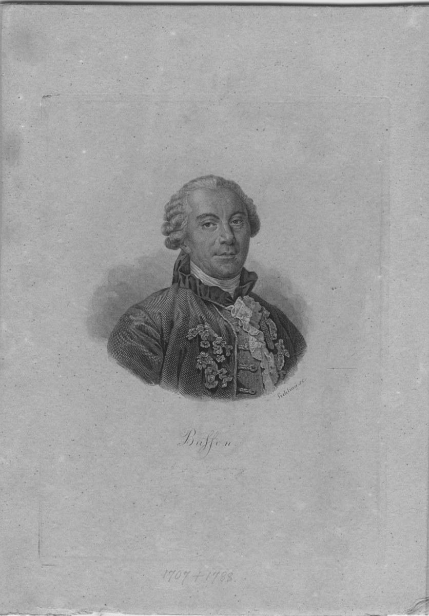 'Porträtt av Buffon, Georges-Louis Leclerc, Comte de Buffon  (1707-1788), konstnär: Sichling. ::  :: Ingår i serie med fotonr. 6975:1-31.'