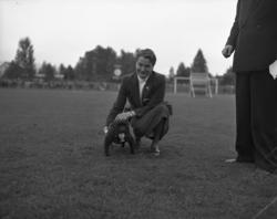 Vardens arkiv. "Hundeutstilling, Stadion" Hunden på bildet e