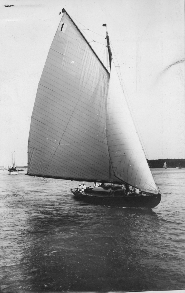 Fo110262