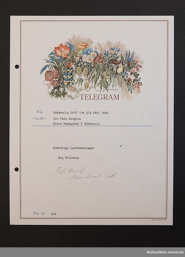Födelsedagstelegram på papper i flerfärgstryck med maskinskriven text till adressaten. Jubilaren är Vera Gergils, 50 år 1966.
