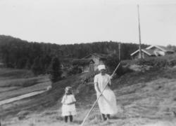 Høyonn i Liahaugen.