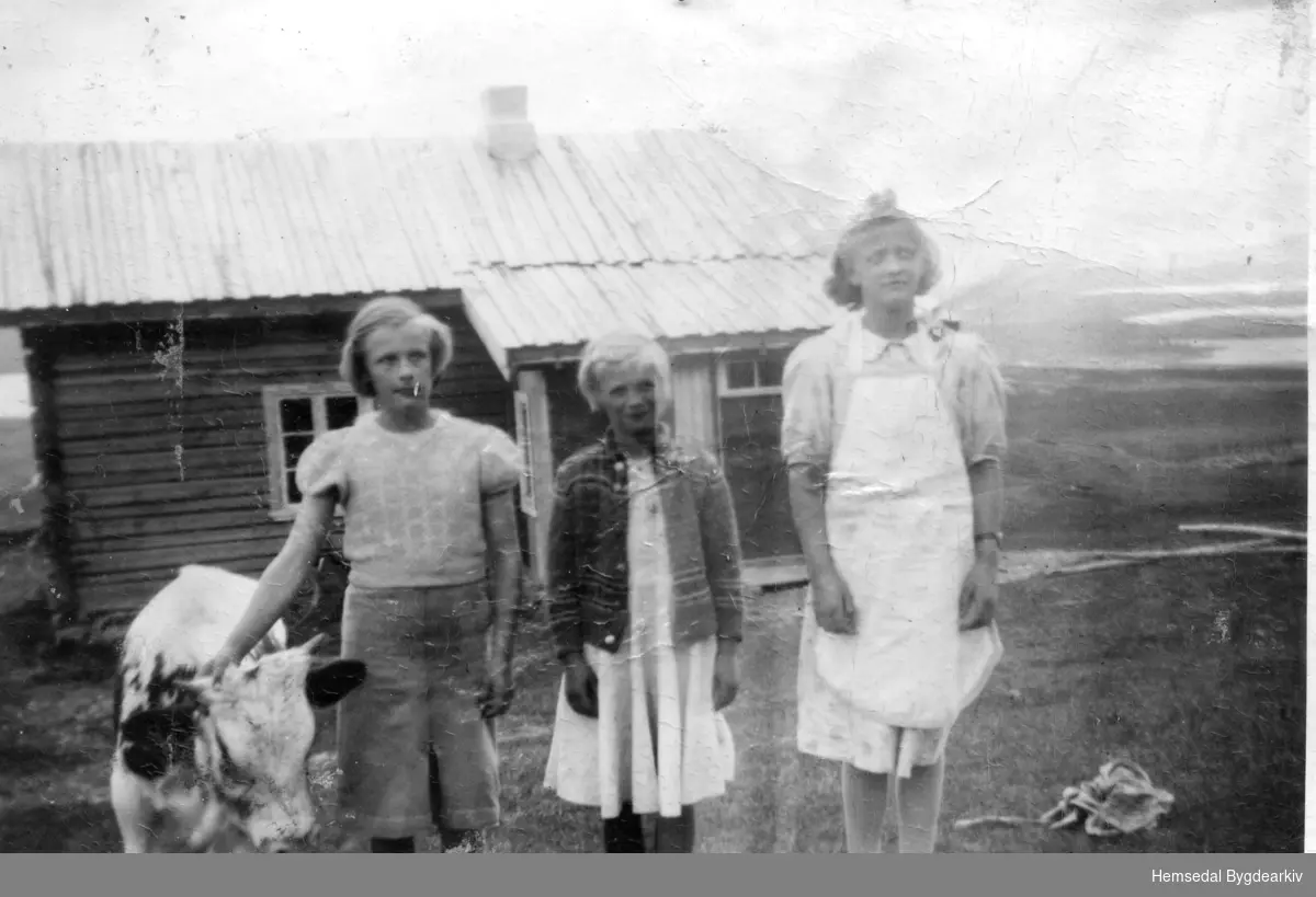 På Jordheimsstølane, 64.3, ca. 1936
Frå venstre: Birgit Jordheim, fødd 1926, gift Moltau; Karoline Jordheim, fødd 1928, gift Brenna; Barbro, fødd 1923, gift Thorset, overtok garden