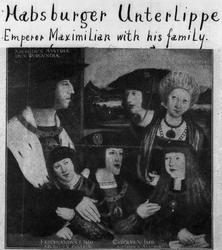 Habsburger Unterlippe. Emperor Maximilian with his family.