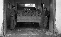 Potet-tørkeriet, Levanger