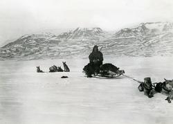 Mann med hundespann røyker en sigarett.