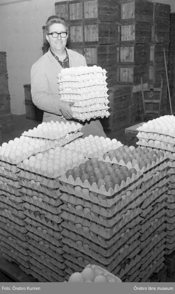 Jordbruksnummer, 12 mars 1969.

Äggproducenter konkurrerar ihjäl varandra. Fler äter ägg men mindre lönsamhet.
