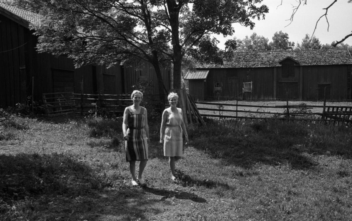 Lekhyttan 21 juni 1966

Två kvinnor i korta, ärmlösa sommarklänningar kommer gående över en gräsamatta i närheten av två hus. En gärdesgård syns bakom kvinnorna.