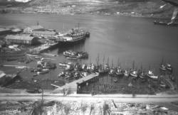 Hammerfest havn med hurtigruteskipet Lofoten ved kai. Foran 