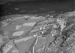 Dombås, Dovre, gårdsbruk, jordbruk, slåttonn, hesjing, korns