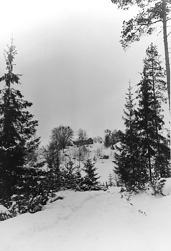 Vy över Trösslingstorp.
Vinterbild.
Mars 1945.