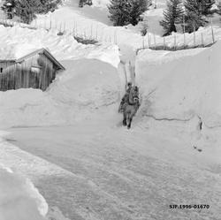 Hankekjøring i Vestre Gausdal i mars 1967.  Fotografiet er t